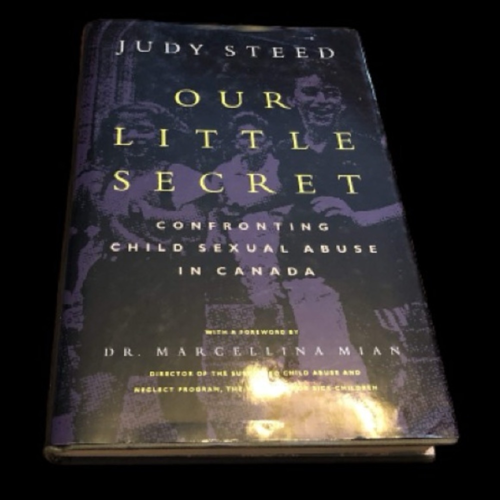 2/$25 Our Little Secret Book by Judy Steed hardcover 1994